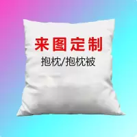 企业定制 抱枕定制logo