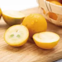 小金桔1kg