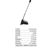 Gmtd 金迈 电脑USB无线话筒麦克风 GM-S302一拖二