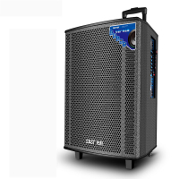 先科 广场舞音响户外播放器便携式拉杆音箱带无线话筒蓝牙