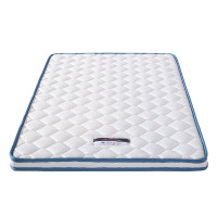 椰棕薄垫3d椰维棕榈垫 环保护脊棕垫 5CM-护脊椰棕床垫 150*190