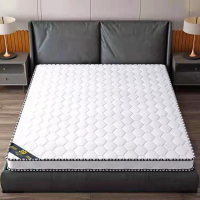 LZ 棕垫1m×2m 5cm天然棕垫