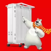 先锋电暖气片DYT-Z6