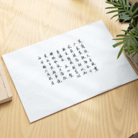 文房四宝系列8K毛边纸书画纸练习纸宣纸毛毡垫初学者适用 空白书法纸*5