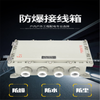 联塑(LESSO) 防爆配电箱300*300*150