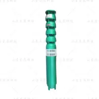 / 东泵科技 175QJ5-65 多级潜水泵