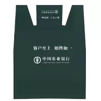 瑞时 企业定制 尼龙绸手提袋 57*46cm 500个起订 单个装