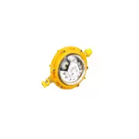 DINT 矿用隔爆型LED巷道灯 DGS40/127L(A)30W M