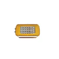 DINT 矿用隔爆型LED巷道灯 DGS48/127L(A) 48W M