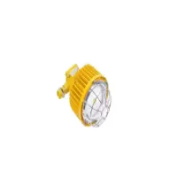 DINT 矿用隔爆型LED巷道灯 DGS50/127L(A) 50W// M