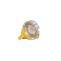 DINT 矿用隔爆型LED巷道灯 DGS24/127L(A) 30W// M