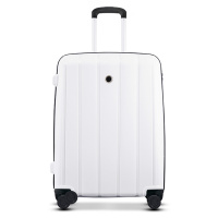 Echolac爱可乐拉杆箱 PPT001-T 白色 20寸