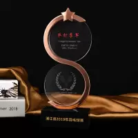创意 金属+水晶奖杯明日之星25*10CM 铜杯(含普通印刷费,具体印刷要求和客服沟通)