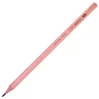 宝克(baoke) PL-1644 办公绘图铅笔 美术素描铅笔学生铅笔 多灰度 4B 12支/盒 单盒价格