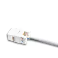 易玛杰 EM1001 五类网线模块 RJ45信息模块 2件装 ( 单位:件)