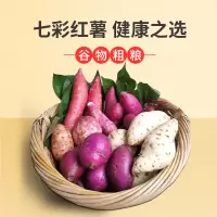 [江苏乡村振兴][财政集采][淮阴]青创云 淮农白心红薯15公斤 *