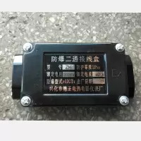 电伴热带二通接线盒RS 终端接线