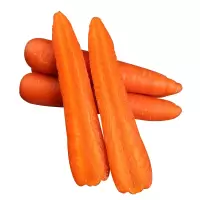 寿光蔬菜新鲜蔬菜生吃水果沙拉胡萝卜新鲜采摘2500g