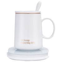 金字杯 PA-666 (单位:个)