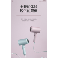 罗拉负离子电吹风CL-202