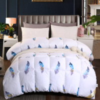 德泽 爱丁堡至尊鹅绒被 DZ-B998