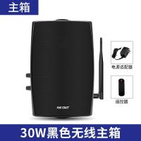 先科 W5无线壁挂音响30W黑色无线主箱 砳石