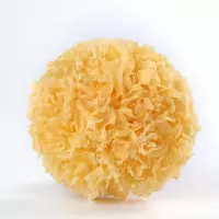 杂粮农家银耳 1斤