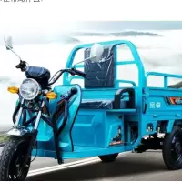 金穗慧采 宗申电动三轮车自行车