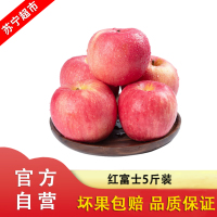 洛川红富士苹果水果 5斤装(约10-12个) 现摘红富士苹果 中大果 单果75mm+(两件和并发货,净九斤)