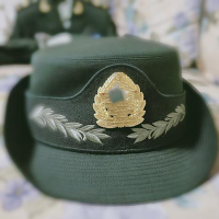 女卷檐帽和帽徽