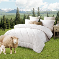 被子澳洲羊毛被 重6斤 2*2.3