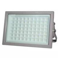 飞利浦(Philips)LED400W防爆投光灯 gk