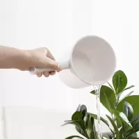 茶花贝利单手勺- 017005