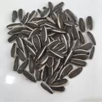 玉林瓜子