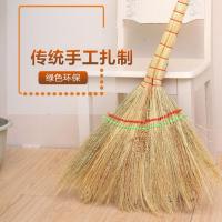 扫把金丝苗笤帚