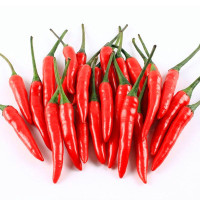 指天椒 一斤