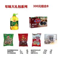 年味大礼包系列300元组合B