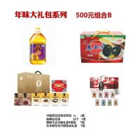 年味大礼包系列500元组合B