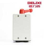 德力西 倒顺开关30A