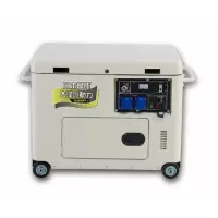 大泽勭力 12kw静音柴油发电机 220V/380V 白色