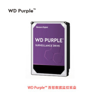 益而高 WD Purple™西部数据监控紫盘