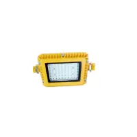 DINT 矿用隔爆型LED巷道灯 DGS24/127L(A) 18W