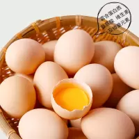 正宗土鸡蛋草鸡蛋40枚整箱包装