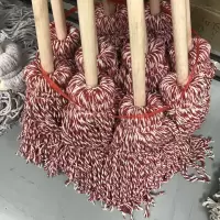禧天龙 ZQ 拖把 32512