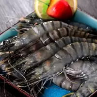 幸福美满海鲜礼盒