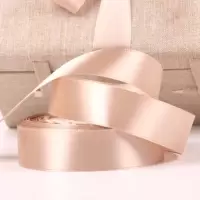 极度空间丝带缎带绸缎带包装丝带捆绳香槟款2.5cm*22m*2卷 50份起发