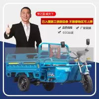货运电动自行车/国威电动三轮车