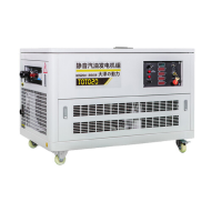 大泽勭力 20kw静音汽油发电机 白色