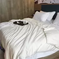 (HD)俏庭 典雅蚕丝被(计价单位:条)