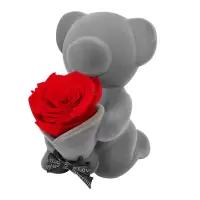 永生花玫瑰花熊礼盒 表白新年情人节生日礼物音乐八音盒 礼盒(单膝示爱-许你永生承诺)